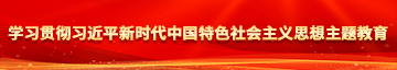 中国女人的骚B学习贯彻习近平新时代中国特色社会主义思想主题教育